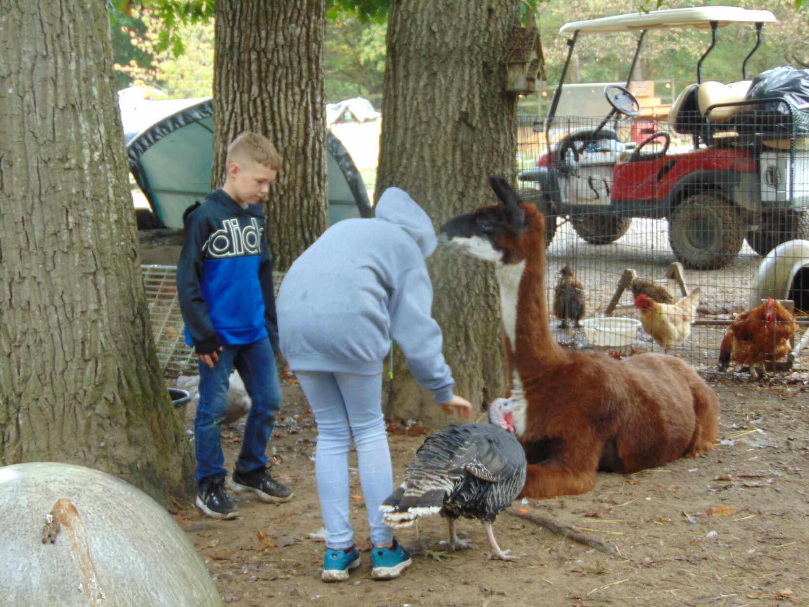Farm gallery 16.JPG